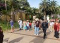 peregrinos-san-antonio-romeria-016
