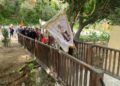 peregrinos-san-antonio-romeria-020