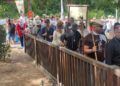 peregrinos-san-antonio-romeria-022