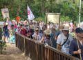 peregrinos-san-antonio-romeria-023