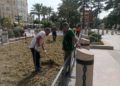 preparativos-alfombras-corpus-cristi-2022-002