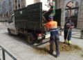 preparativos-alfombras-corpus-cristi-2022-004