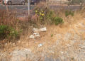 suciedad-maleza-torres-hacho-002