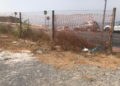 suciedad-maleza-torres-hacho-003