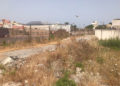 suciedad-maleza-torres-hacho-005