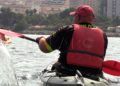 delfines