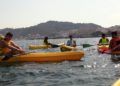 delfines
