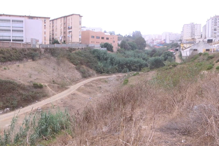arroyo paneque basura (4)