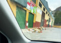 basura-suciedad-poligono-tarajal-005