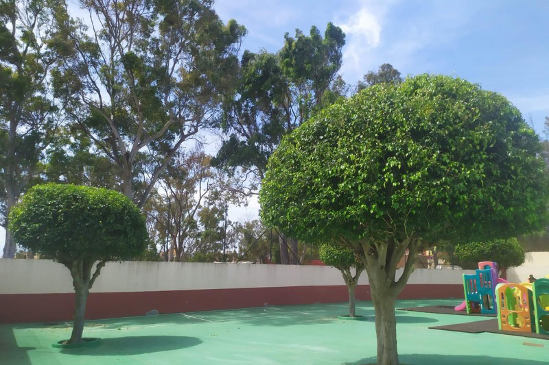 brigadas-verdes-guarderia-principe-002