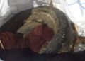 buzos-servisub-limpieza-basura-mar-012