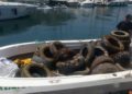 buzos-servisub-limpieza-basura-mar-019