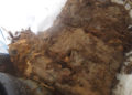 buzos-servisub-limpieza-basura-mar-021