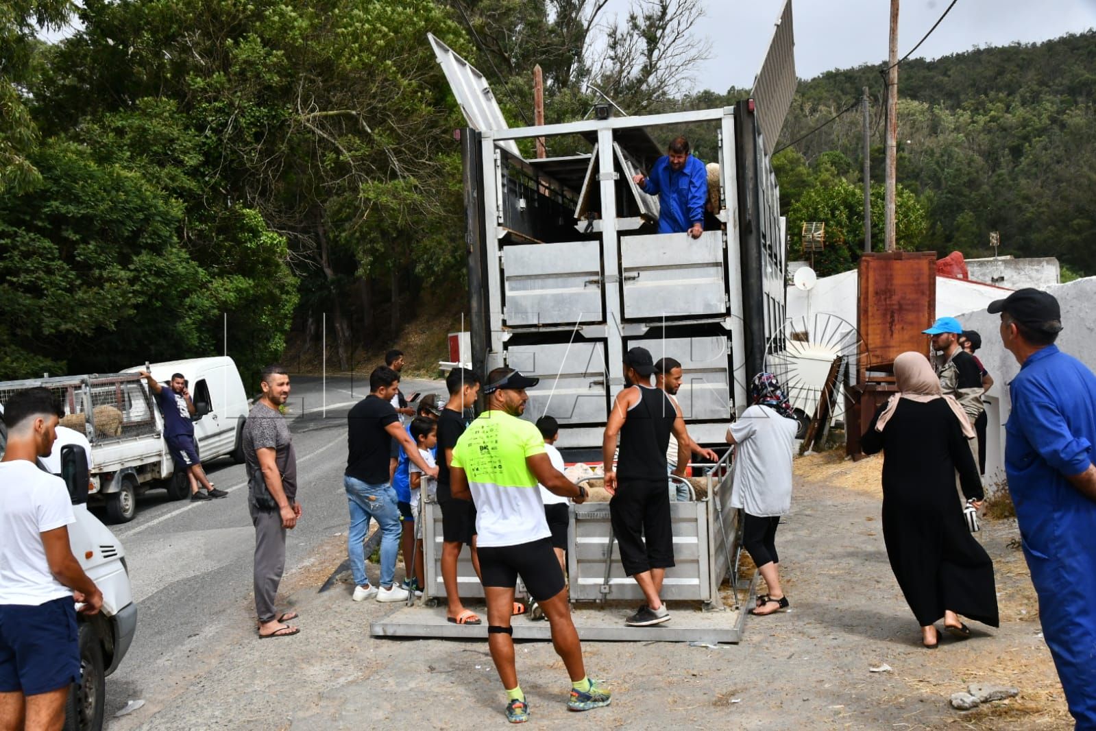 camion-corderos-pascua (7)
