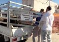 festividad-sacrificio-cordero-2022-024