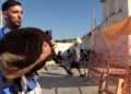 festividad-sacrificio-cordero-2022-025
