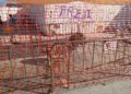 fiesta-sacrificio-2022-007