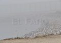 guardia-civil-espigon-tarajl-002