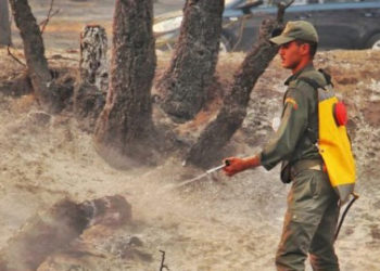 incendios-marruecos-003