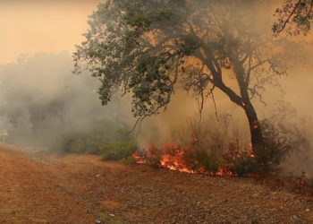 larache-incendio