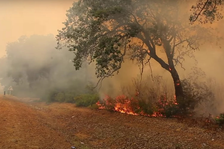 larache-incendio