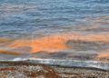 mancha-naranja-playa-tarajal-001