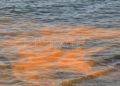 mancha-naranja-playa-tarajal-003