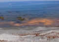 mancha-naranja-playas-003