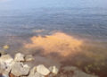mancha-naranja-playas-008