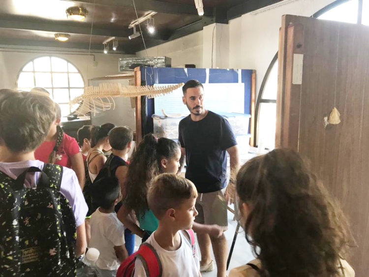 museo-mar-aden-001