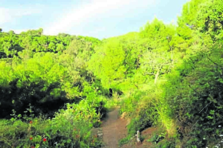 paisaje-natural-ceuta-001