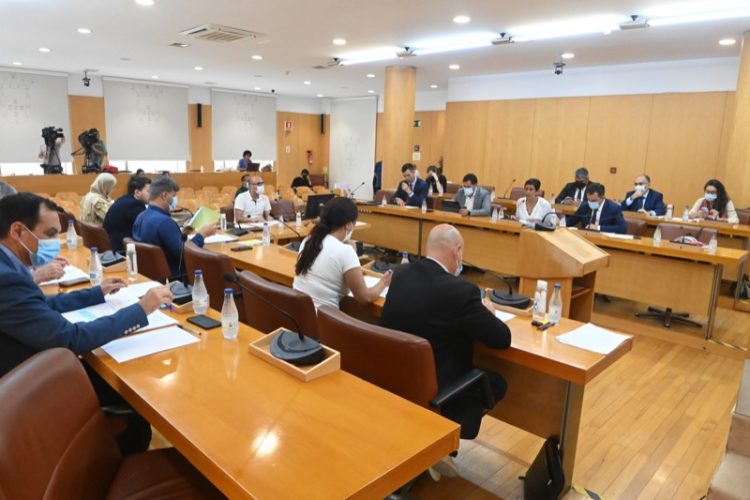 pleno-210722