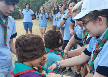 scouts (5)