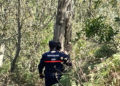 voluntarios-proteccion-civil-unidad-canina-rescate-inmigrante-003