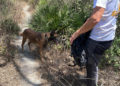 voluntarios-proteccion-civil-unidad-canina-rescate-inmigrante-004