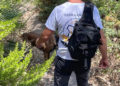 voluntarios-proteccion-civil-unidad-canina-rescate-inmigrante-005