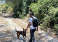 voluntarios-proteccion-civil-unidad-canina-rescate-inmigrante-006