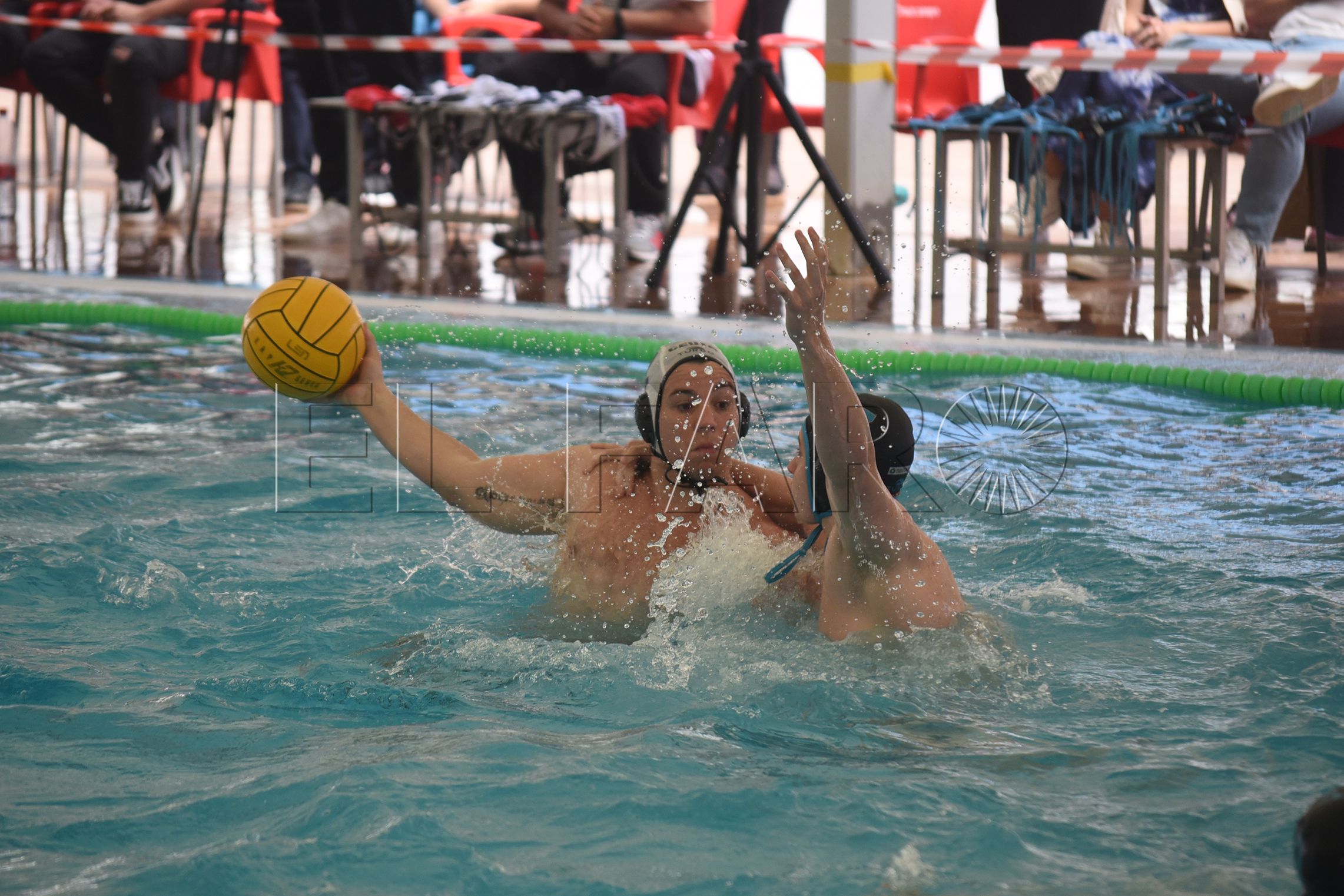 waterpolo