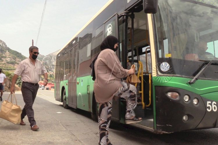 autobus-benzu (1)