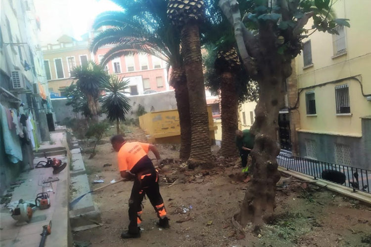 brigadas-verdes-alfau-1