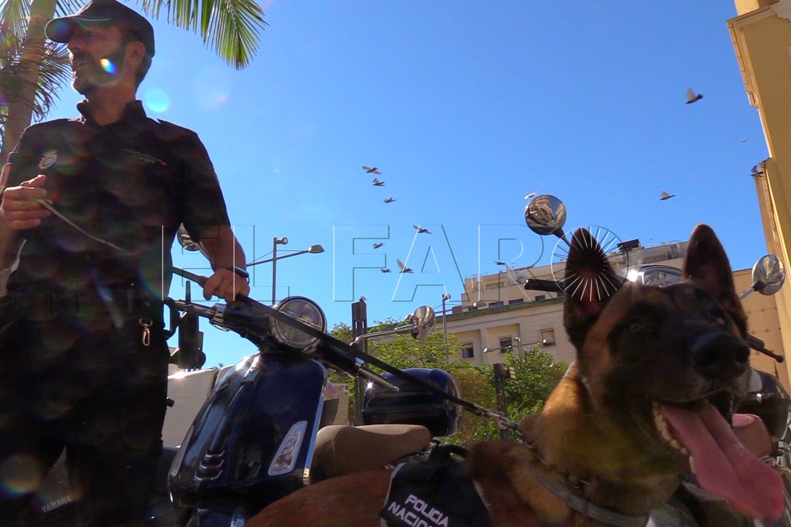 brull-perro-policia-nacional (1)