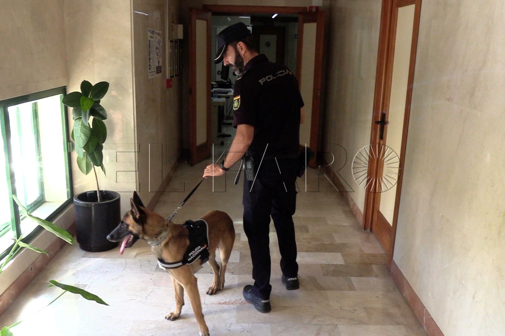 brull-perro-policia-nacional (2)