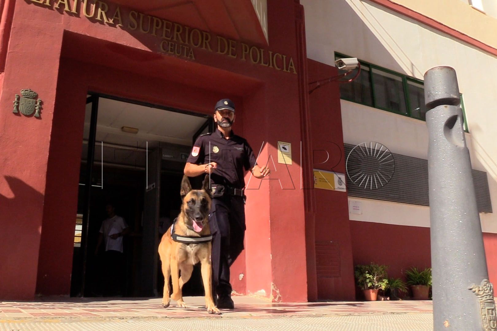 brull-perro-policia-nacional (4)