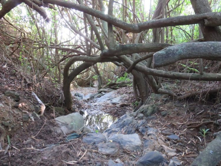 conversacion-naturaleza-007