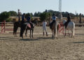 equitacion-hipica (2)
