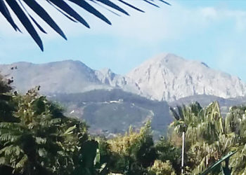 monte
