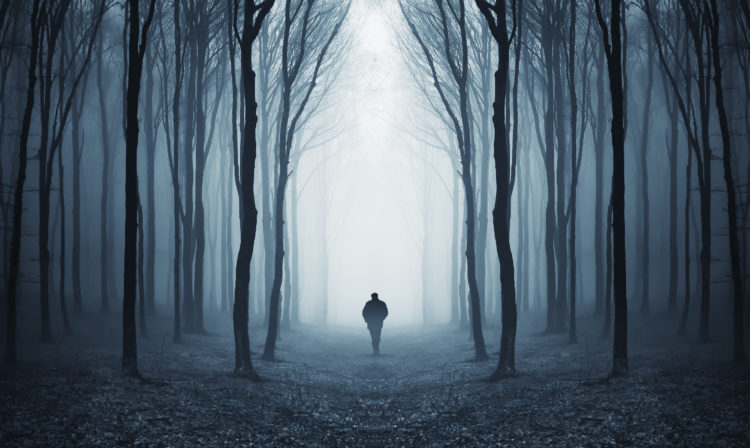 oscuridad-bosque