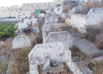 psoe-cementerio-sidi-embarek