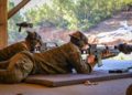 regulares-ejercicio-perfeccionamiento-tiro-fusil-001