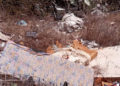 basura-mirador-oasis-002